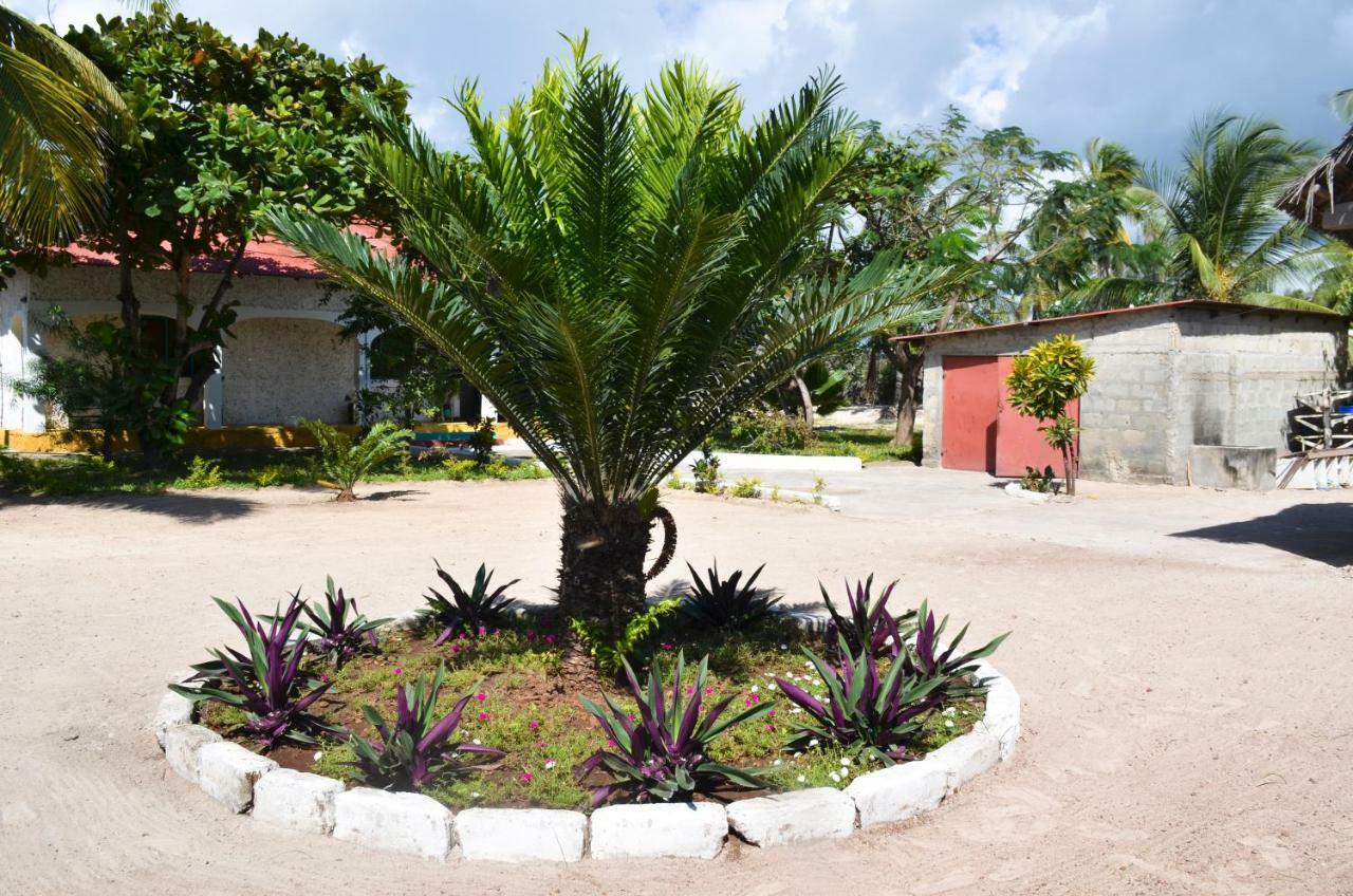 Сasa de vacaciones Spacious Dream House Paje